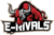 E-RIVALS (Counter-Strike (CS2))
