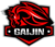 GAIJIN (Counter-Strike (CS2))