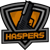 Haspers Team (Counter-Strike (CS2))
