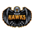 Hawks (Counter-Strike (CS2))