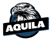 OOE Aquila (Counter-Strike (CS2))