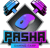 Pasha Gaming Camp (Counter-Strike (CS2))