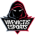Vaevictis (Counter-Strike (CS2))