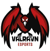Valravn Esports (Counter-Strike (CS2))