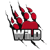 WiLD MultiGaming (Counter-Strike (CS2))