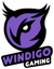 Windigo (Counter-Strike (CS2))