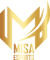 Misa Esports (Counter-Strike (CS2))