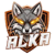 ALKA GAMING (Counter-Strike (CS2))