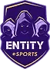 ENTiTY (Counter-Strike (CS2))
