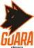 Guará eSports (Counter-Strike (CS2))