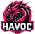 HavocGG (Counter-Strike (CS2))