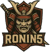 Ronin5 (Counter-Strike (CS2))