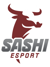 Sashi Esport (Counter-Strike (CS2))