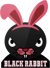 Black Rabbit Gaming (Dota 2)