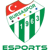 Bursaspor Esports (Dota 2)