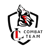 Clcombat Team (Dota 2)
