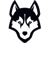 Husky (Dota 2)