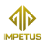 Impetus Esports (Dota 2)
