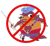 NoPangolier (Dota 2)