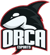 PG.Orca (Dota 2)