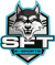 SFTe-sports (Dota 2)