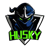 Team Husky (CN) (Dota 2)