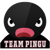 Team Pingu (Dota 2)