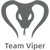 Team Viper (Dota 2)