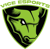 Vice Esports (Dota 2)