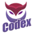 Team Codex (Dota 2)