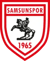 Samsunspor (EA SPORTS FC)