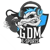 GDM eSports (Hearthstone)
