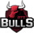 GTZ Bulls (LoL)