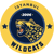 Istanbul Wildcats (LoL)