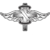 Saint Gaming (LoL) Saint Gaming (LoL)