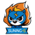 Suning-S (LoL)
