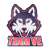Team VE (LoL)