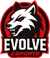 Evolve eSports (LoL)