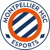 MHSC Esport (LoL)