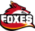Foxes (Overwatch)
