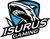 Isurus Gaming (Overwatch)