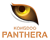 KongDoo Panthera (Overwatch)