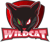 WildCat (Overwatch)