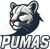 pumas (Overwatch)