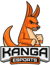 Kanga Esports (Rainbow Six)