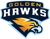 Golden Hawks (Rocket League)