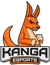 Kanga Esports (VALORANT)