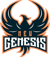 New Genesis Esports (VALORANT)