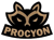Procyon Team (VALORANT)