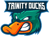 Trinity Ducks C (VALORANT)